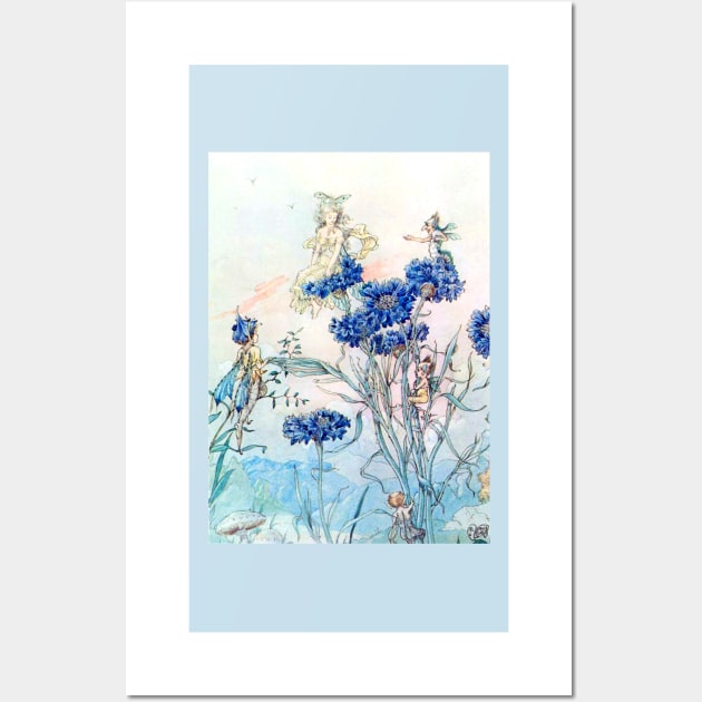 Cornflower Flower Fairies - Harold Gaze Wall Art by forgottenbeauty